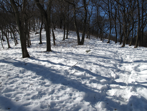 20160128hike (74)